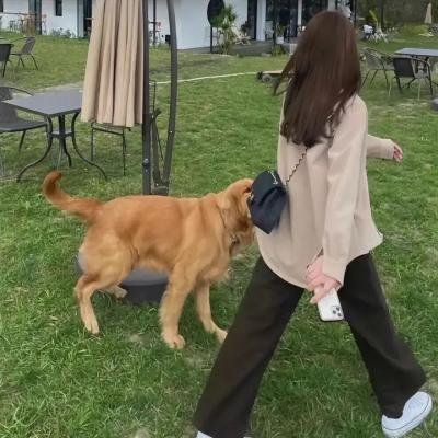网球优等生第二季